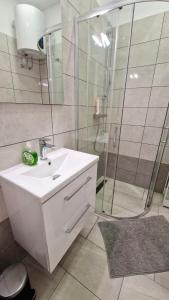 a bathroom with a white sink and a shower at Ljubljana Central Cozy Apartment w Free Parking in Ljubljana