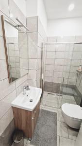 uma casa de banho com um lavatório, um chuveiro e um WC. em Central Cute City Apartment w Free Parking em Ljubljana