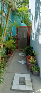 a door to a building with a bunch of plants at Habitación a media cuadra de la playa. in Mazatlán