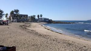 a sandy beach with palm trees and the ocean at Habitación a media cuadra de la playa. in Mazatlán