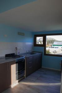 eine Küche mit einem Herd, einem Waschbecken und einem Fenster in der Unterkunft Alfa & Omega in Dina Huapi