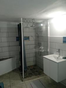 a bathroom with a shower and a sink at Frédovacances logements le COQUELICOT et le iGloo-LOVE in Rivière-Pilote