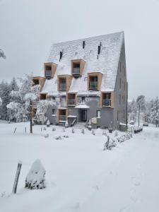 Apartman Planinski san Divčibare talvel