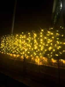 un grupo de luces en una valla por la noche en 滝野苑, en Tokio