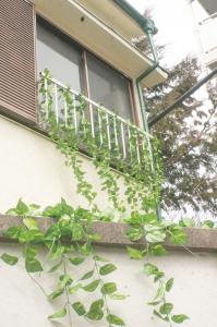 una ventana con una planta creciendo fuera de ella en 滝野苑, en Tokio