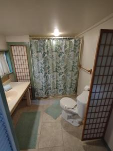 a bathroom with a toilet and a sink and a shower at Banyan Tree Sanctuary Guest House in Kailua-Kona