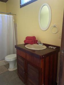 a bathroom with a sink and a mirror and a toilet at La Purruja Lodge in Golfito