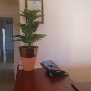 a phone and a potted plant on a table at Thokgamo Bed and Breakfast in Kanye