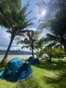 two tents on the grass next to palm trees at Boyers island camp site in San Vicente