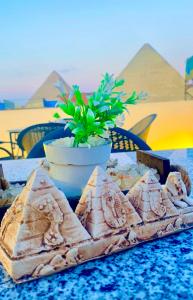 taca kanapek na stole z doniczką w obiekcie Horus pyramids view w Kairze