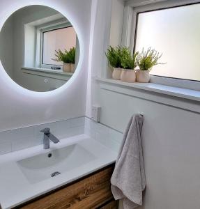a bathroom with a sink with a mirror and potted plants at City Fringe Apartment with garage in Wellington