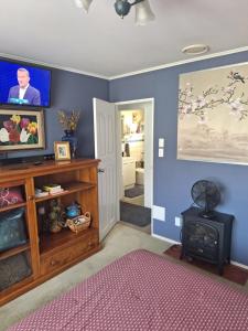 a living room with a tv on a blue wall at rooms with a view in Haywards