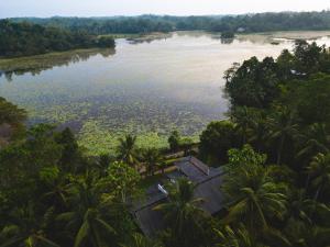 an aerial view of a river with palm trees at Villa Lake Mountain in Weligama