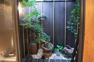 a garden in front of a wooden fence at -時の宿 上七軒- Kyoto Machiya 金閣寺周辺 in Kyoto