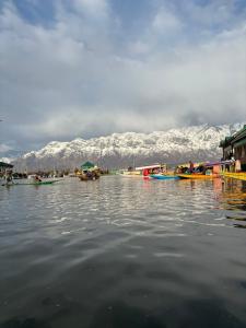 um grupo de barcos em uma massa de água com montanhas em Houseboat young wild Rose em Srinagar
