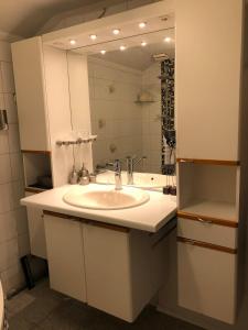 La salle de bains est pourvue d'un lavabo et d'un miroir. dans l'établissement Weltevree, à Tegelen