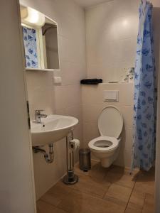 a bathroom with a toilet and a sink at Lanckensburg - Ferienwohnung 1 in Altenkirchen