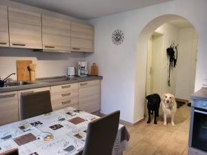 a dog standing next to a table in a kitchen at Lanckensburg - Ferienwohnung 1 in Altenkirchen +14 photos