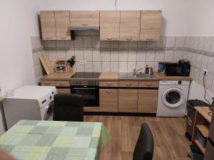 eine Küche mit einer Spüle und einer Waschmaschine in der Unterkunft 3 Zimmer Monteurwohnung 1 Etage in Riedstadt