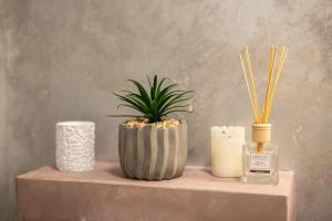 a table with a plant in a vase and a candle at Luxury Ultra Central in Sibiu
