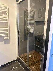 eine Dusche mit Glastür im Bad in der Unterkunft Appartement lumineux et cosy au cœur de Lille in Lille