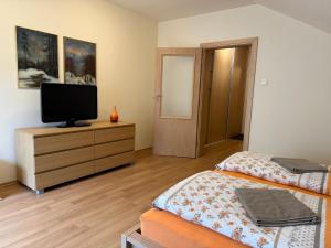 sypialnia z łóżkiem i telewizorem na komodzie w obiekcie Bystra 150 w mieście Bystrá