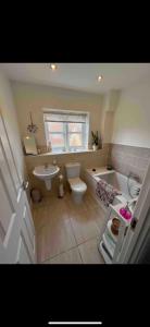 a bathroom with a sink and a toilet and a tub at Provis Wharf Homestay in Buckinghamshire