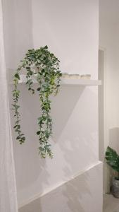 Design House alla Biennale tesisinde bir banyo