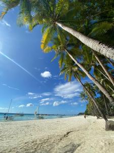 長灘島的住宿－長灘島可可旅館，海滩上一棵棕榈树和大海