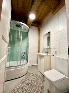 a bathroom with a shower and a toilet and a sink at Valgeranna Apartment in Pärnu