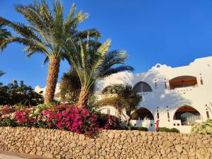 a building with palm trees and flowers in front of it at Domina Coral Bay in Sharm El Sheikh