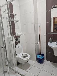 een badkamer met een toilet en een wastafel bij Apart in Radomsko