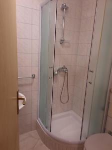 a shower with a glass door in a bathroom at Apartmani I+J Miletic in Vodice +49 photos