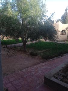 a garden with a tree and a stone walkway at Dar Es Salam in Skoura