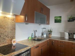 Kuchyň nebo kuchyňský kout v ubytování Wohlfühloase mit 2 Bäder 80 qm + 19 fotografií