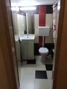 a bathroom with a white toilet and a sink at Cozy apartment for short term rent. in Káty