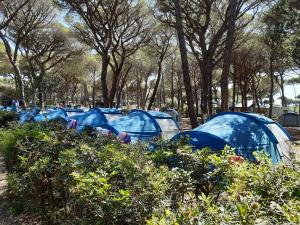 Gallery image of Camping Principina in Principina a Mare