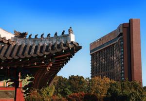 un grupo de aves sentadas en la parte superior de un edificio en THE PLAZA Seoul, Autograph Collection, en Seúl