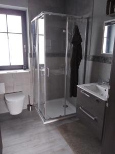a bathroom with a shower and a toilet and a sink at Auszeit-Räumlichkeiten in Dietfurt