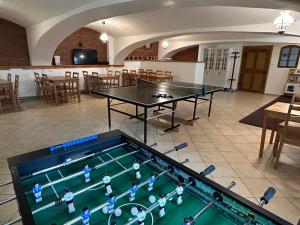 Camera de jocuri de la Dvůr Stráň & Wellness