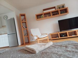 TV a/nebo společenská místnost v ubytování Apartmán Dvořák 194 pod Svatou horou