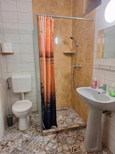 a bathroom with a shower and a toilet and a sink at Napfény Vendégház in Bükkszék