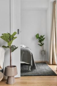 um quarto com um vaso de plantas e uma cama em Little luxury apartment em Aarhus