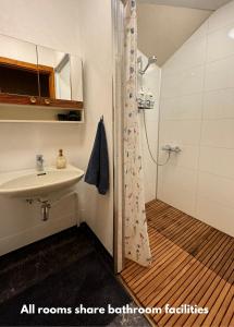 La salle de bains est pourvue d'un lavabo et d'une douche. dans l'établissement Svingen Guesthouse - Panoramic Fjord Views in Flåm, à Flåm