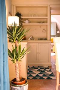 een keuken met 2 palmbomen in een kamer bij Sikelia Luxury home in Catania