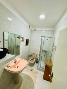 維亞納堡的住宿－Altamira Studio，一间带水槽、淋浴和卫生间的浴室