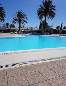 a large swimming pool with palm trees in the background at BuzzStays: 1-Bed Bungalow, Garden, Near Yumbo & Beach in Maspalomas +22 photos