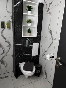 een badkamer met een toilet en een plank met planten bij Apartmenthaus Oborishte 5 in Panagyurishte