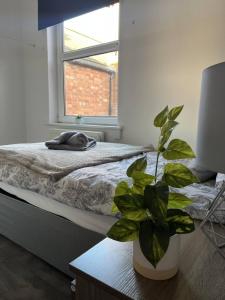 um quarto com uma cama e uma planta sobre uma mesa em Abington Park 5 Bedrooms with en-suite em Spinney Hill
