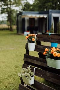 two potted plants on the back of a wooden bench at Rowerowe domki in Dobrenice